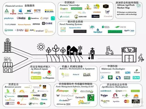 非洲農業科技新浪潮 聚焦種植決策、供應鏈與金融服務的數字化轉型