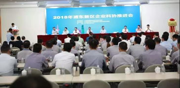 上海互聯(lián)網(wǎng)軟件集團(tuán) 高端協(xié)同管理軟件與信息咨詢服務(wù)的領(lǐng)航者